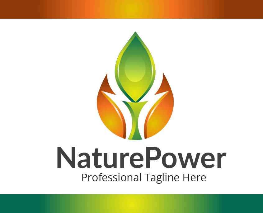 Logo Design For Naiure Power