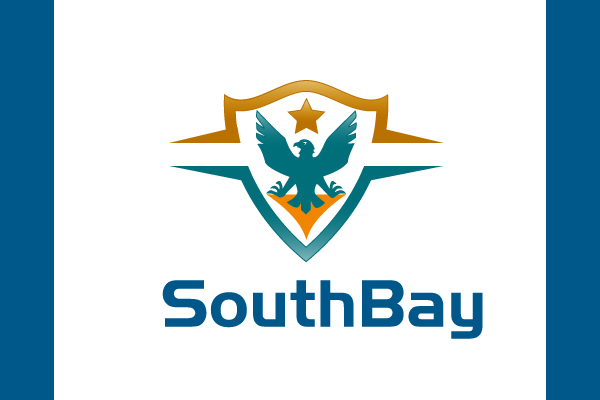 logo design combining eagles and shields