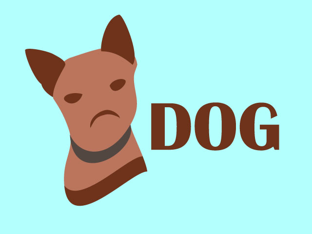 Doge Care Service Logo Design