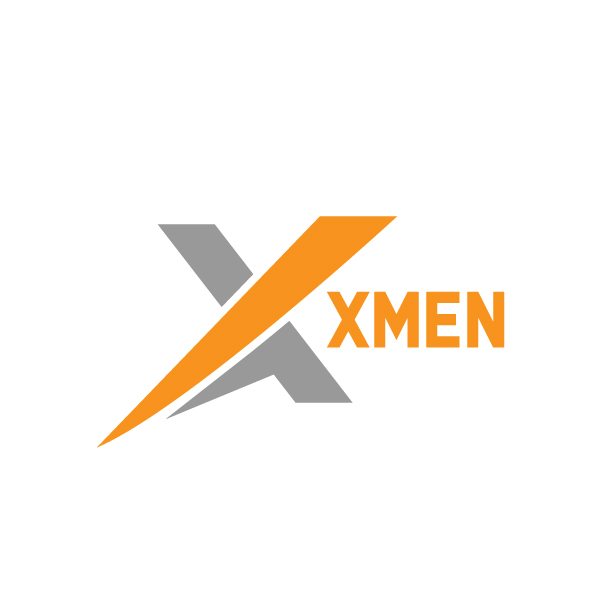 X letter creative logo clean simple modern professional